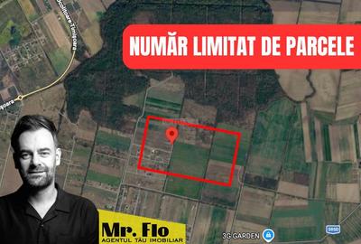 Terenuri Premium lângă Pădurea Bistra – Oportunitate Limitată - 1
