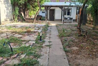 Bdul Ion Mihalache- Pta Chibrit - 1