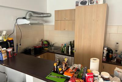 Apartament cu 1 camera in zona Podul de Fier - 4