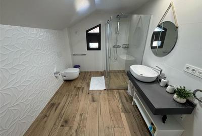 Casa P+M partial mobilata de vanzare in Campineanca (toate utilitatile) - 30