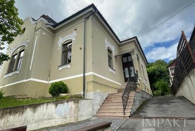 Birou, 597 mp în Semicentral