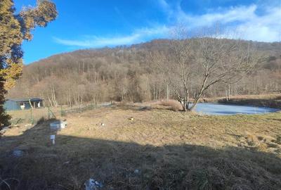 Exclusivitate! Teren 1000mp , drum privat cu acces la rau si padure, Glajarie, R - 1