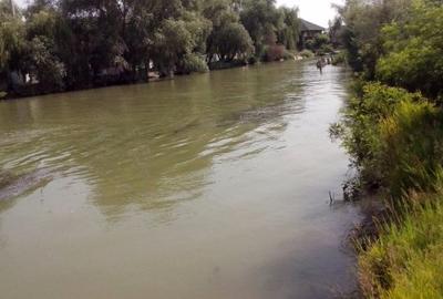 Teren de vanzare Murighiol - Uzlina | 5000 mp - 3