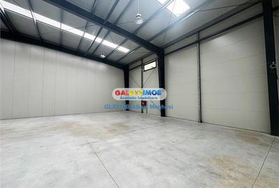 Inchiriere Spatiu Depozitare Hala Centura-Mogosoaia - 9