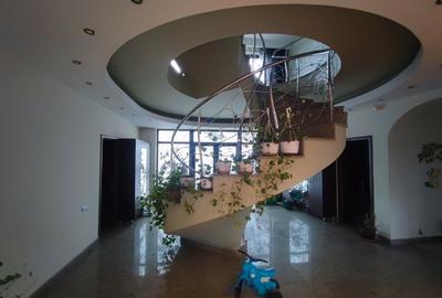 Vanzare casa Pantelimon Bazinului - 4