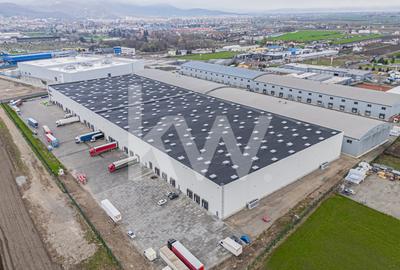 Spațiu industrial, de 6,000.00 mp, în Griviței