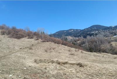 Teren extravilan 28.773 mp, MARAMURES, BORSA - 1