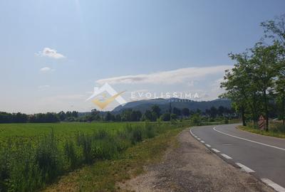 Teren intravilan 50.000 mp zona Avangarden Bartolomeu - 1