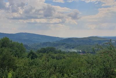 Teren intravilan – 9.000 mp, sat Ogretin, comuna Drajna, jud. Prahova - 2