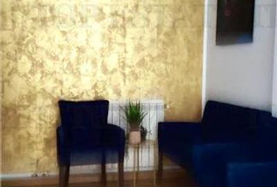Vila de închiriat cu 7 camere ultracentral Piata Victoriei - 6