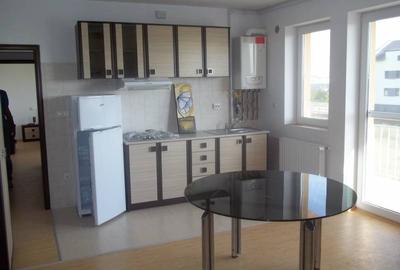 Dumbravita 2 camere 350 euro - 1