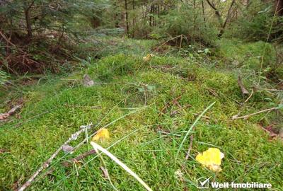 Casă individuală cu 6 camere în Călățele