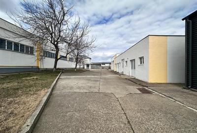 Hale/ spatii de inchiriat in jud. Iasi, Pascani, de la 500mp la 5000mp - 33