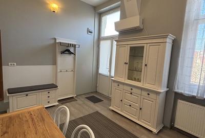 Apartament cu o camera în clădire istorică ,zona Maria - 20