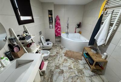 Casa P+M partial mobilata de vanzare in Campineanca (toate utilitatile) - 12