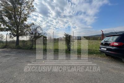 Teren intravilan | De vanzare | 5841 mp | 38 ml deschidere | Cetate - 2