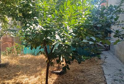 Lumina, teren intravilan între case, toate utilitățile. - 1