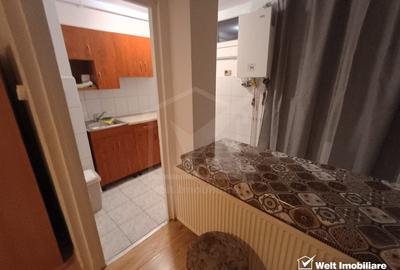 Garsoniera, Constantin Brancusi, Gherogheni, centrala proprie - 4