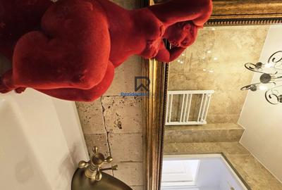 Apartament 2 camere Piata Victoriei - Dr. Iacob Felix - 8