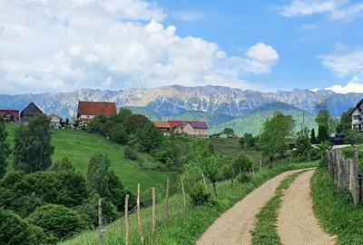 Teren pentru casa de vacanta , Pestera , Brasov - 15