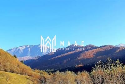 Oportunități de Investiție în Terenuri Sebesul de Sus - 1