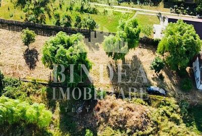 Casa individuala P+ M Giarmata, vatra satului 1496mp teren - 6