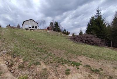 Teren intravilan in Izvoru Muresului (str. Principala) - 3