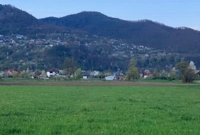 Teren Vadurele, Al.cel Bun - 3