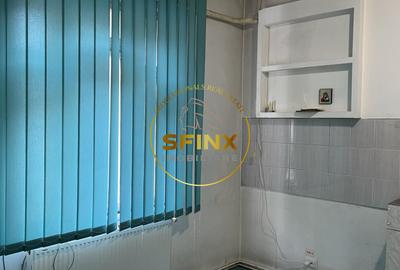 Casa individuala 3 camere Piața Domenii | Curte proprie - 6