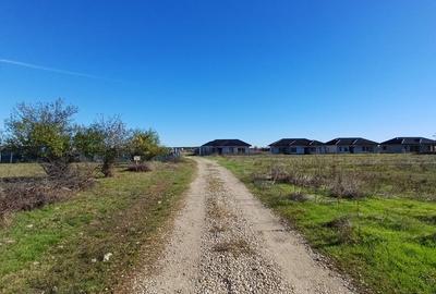 Corbeanca - Tamasi | Teren 937mp, deschidere 33ml | Utilitati in proximitate - 1