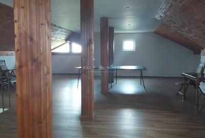 Vila Cornetu, Ilfov - 15