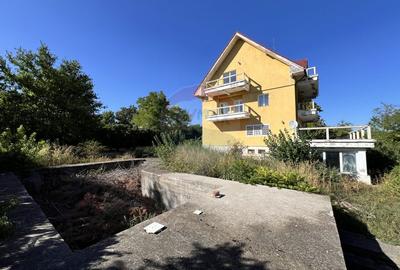 Casa cu potential imens in Sat Lilieci, pe Aleea Florilor - langa raul - 39