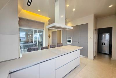 ÎNCHIRIERE PENTHOUSE  EROU IANCU NICOLAE - 5