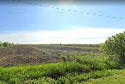 Teren Branesti 1016 mp - intre padure si A2 - Comision 0% - 1