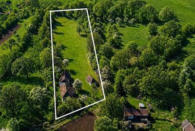 Domeniu de 3.400 mp cu traditionala casa, Suveica, Acatari Mures - 3