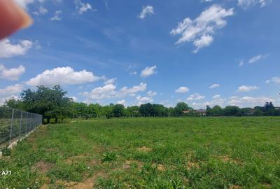 Snagov- Gruiu- Santul Floresti -Proprietate cu stil pentru oameni gospodari! - 50