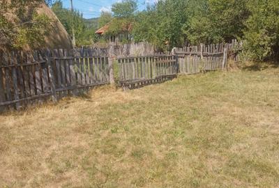 Teren Intravilan, situat in Sat Tismana (zona Gornovita) - 3