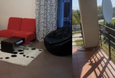 Vila Smeura -  Pitesti - 14