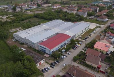 Hală producție/ depozitare de inchiriat Buziaș, Timiș - 4