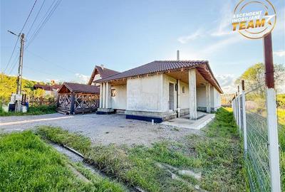 Casa noua, spatioasa, panorama superba, Benedek Mezo, Sfantu Gheorghe:Film& 3D! - 21
