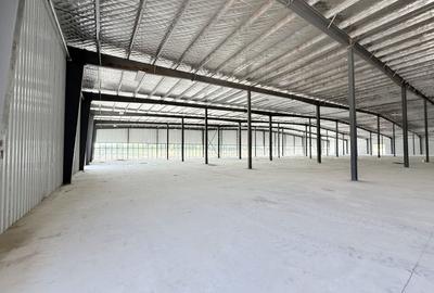 Centru Comercial  16000 mp hale depozitare productie logistica - 18