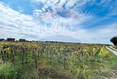 Teren 14.863mp, deschidere 42mp, acces 3 laturi - Ciorogarla, langa A0 - 7