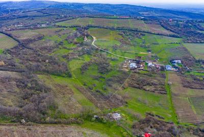 Teren 33.500 mp-Valea Orlei, Prahova/ COMISION 0% - 10