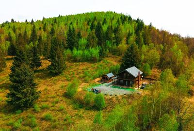 Cabana de vânzare în Munții Apuseni – Valea Ierii, jud. Cluj - 14