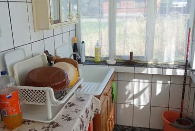 Casa Bihor Comuna Magesti Sat Josani la doar 50 de kilometri de Oradea - 16
