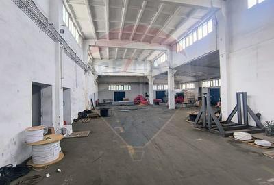 Hala de vanzare Drumul intre Tarlale - Pallady - 15