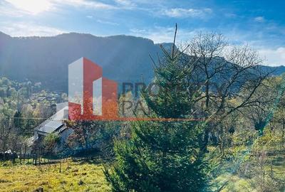 Teren Bran / Predelut cu priveliste 1840mp - 6