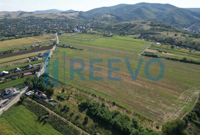 Teren de vânzare, Com. Sarata, Jud. Bacău - 1