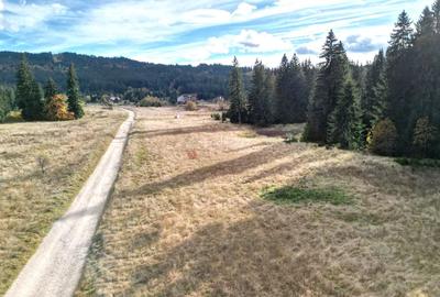 Poiana lui Manole - teren Intravilan - 23