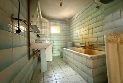 Casă P+1 cu teren generos, anexă și garaj – Timișoara, - 14
